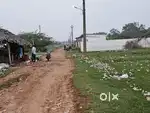 Kakinada to tallarevu main road beside layout chollagipeta village