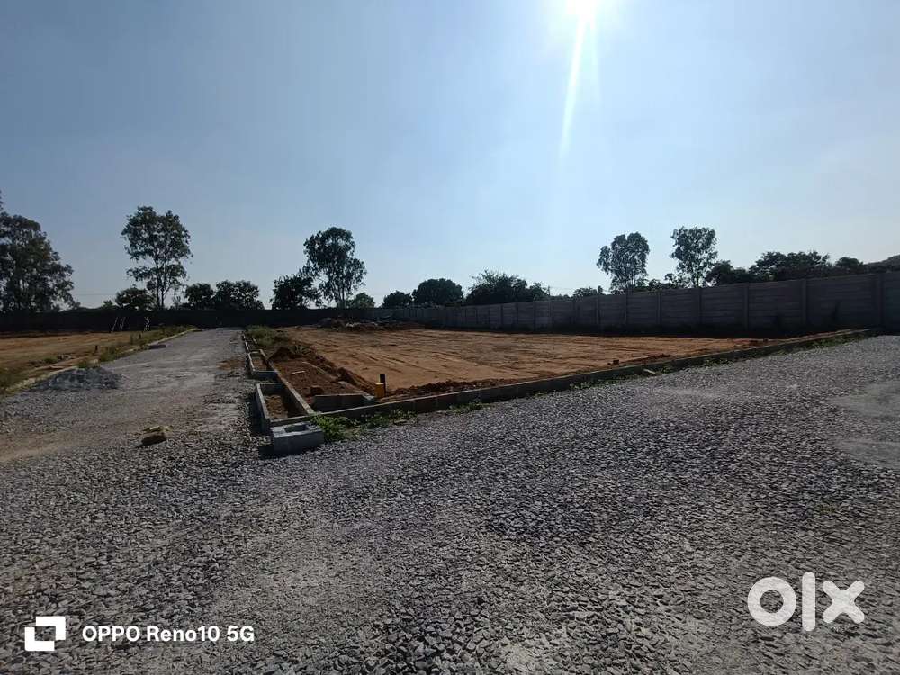 Low Budget Future Investment purpose plots