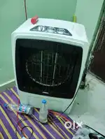 Electric cooler