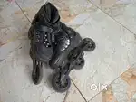 Speed skating