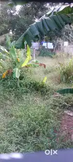 House  Plot  For  Sale  Manvila  Trivandrum