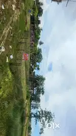 Residential plot for sale near Mahindra showroom, Dimrupar