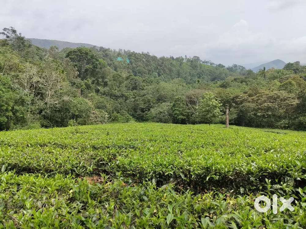 1.75 acre beautiful property for sale