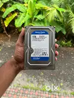 Hard disk 1tb wd