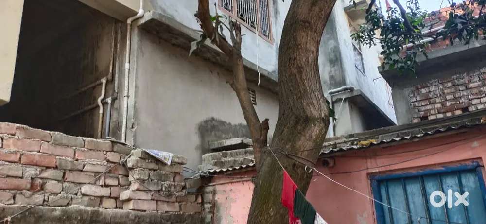 1 RK(Room Kitchen) Independent Tin House with Common Bathroom