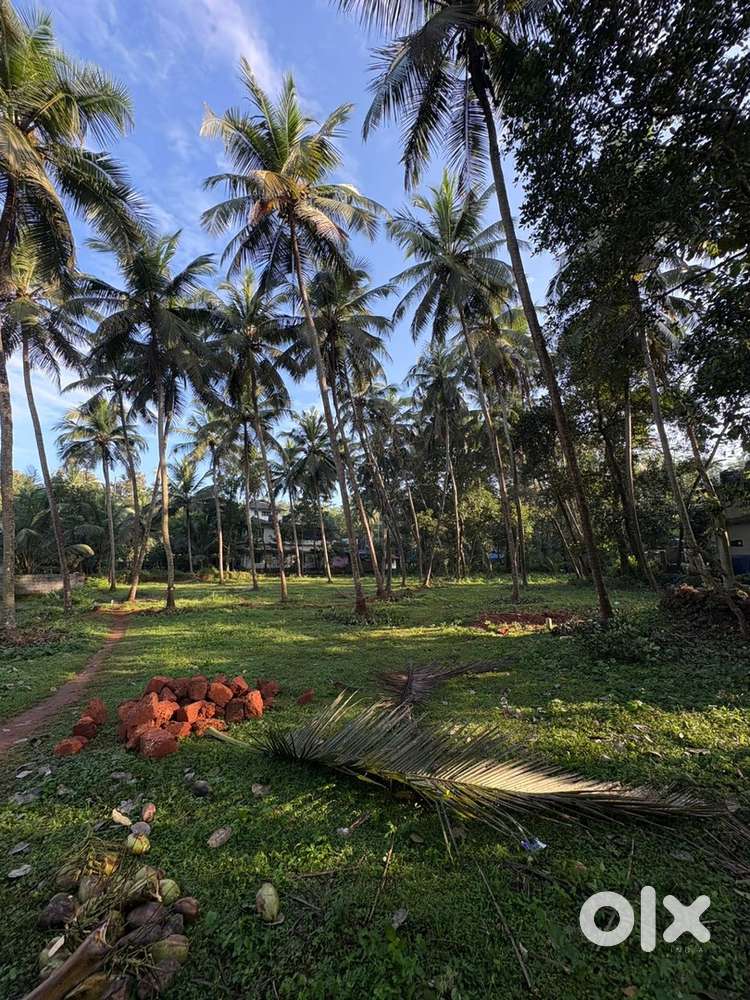 Kottakkal villoor