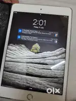 iPad Mini 4