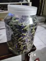 Shankupushpi