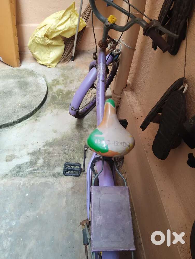 BSA Kids Cycle