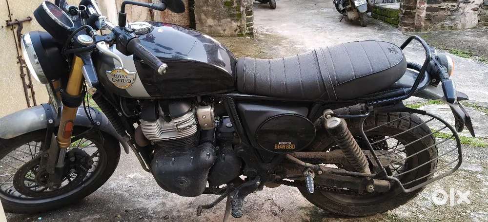Bear 650 Royal enfield