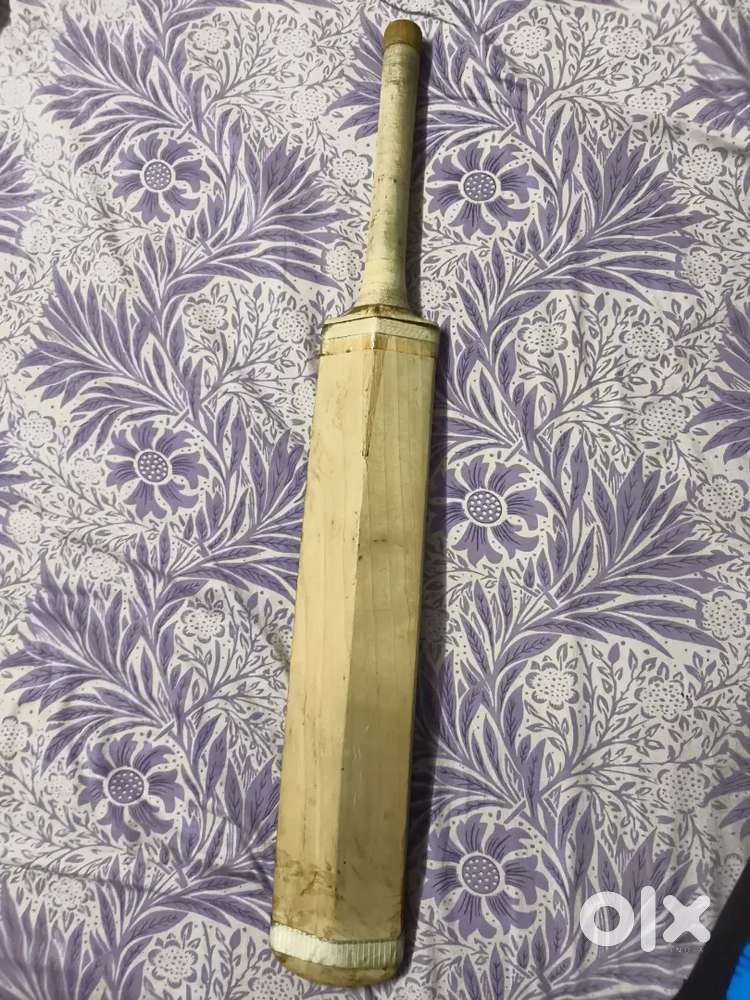 Cricket season bat