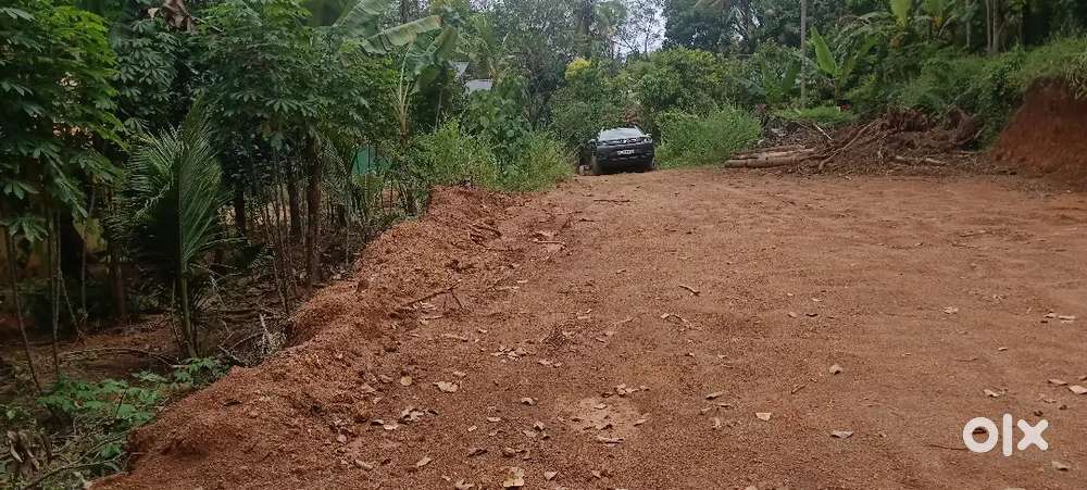 Housing plot at Neduvathoor( kottarakkara )