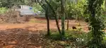 Near chinkathoor kavu, home loan available,nearly access to ottapalam