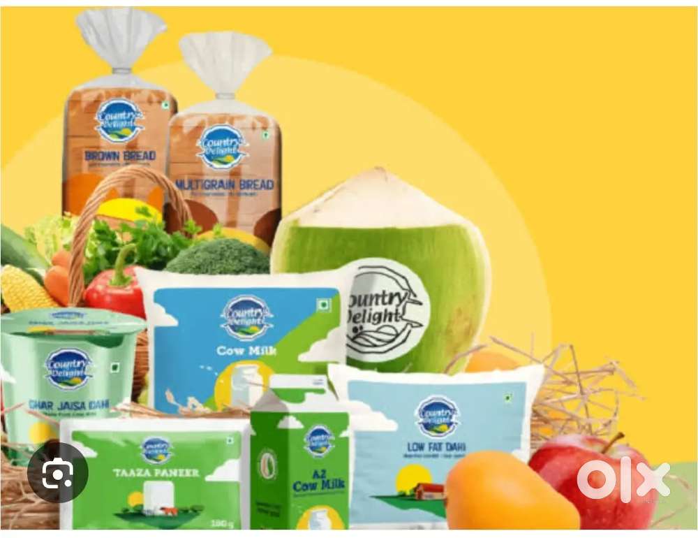 Country delight milk delivery job