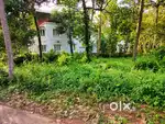 37 Cent Residential Property for Sale Near Thachodu Junction Roadside
