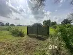 17 Guntas Land for Sale, Pedda Ummenthal Village