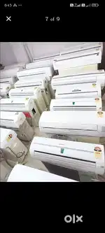 Shree marketing