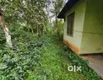 Urgent Sales with lower price