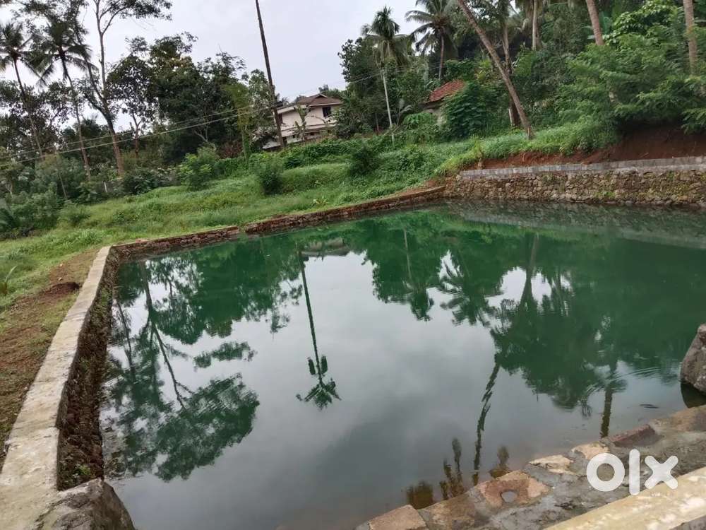 2 acre 80 cent contact @ adkka thottam