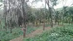 3.76 Acres Agriculture Land For Sale
