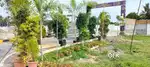 Plots in OMR