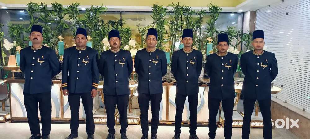 Waiter jobs in