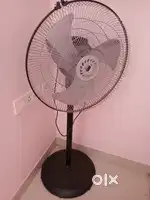 Pedestal fan