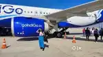Hiring for Domestic and International Airport Jobs urgent apply.