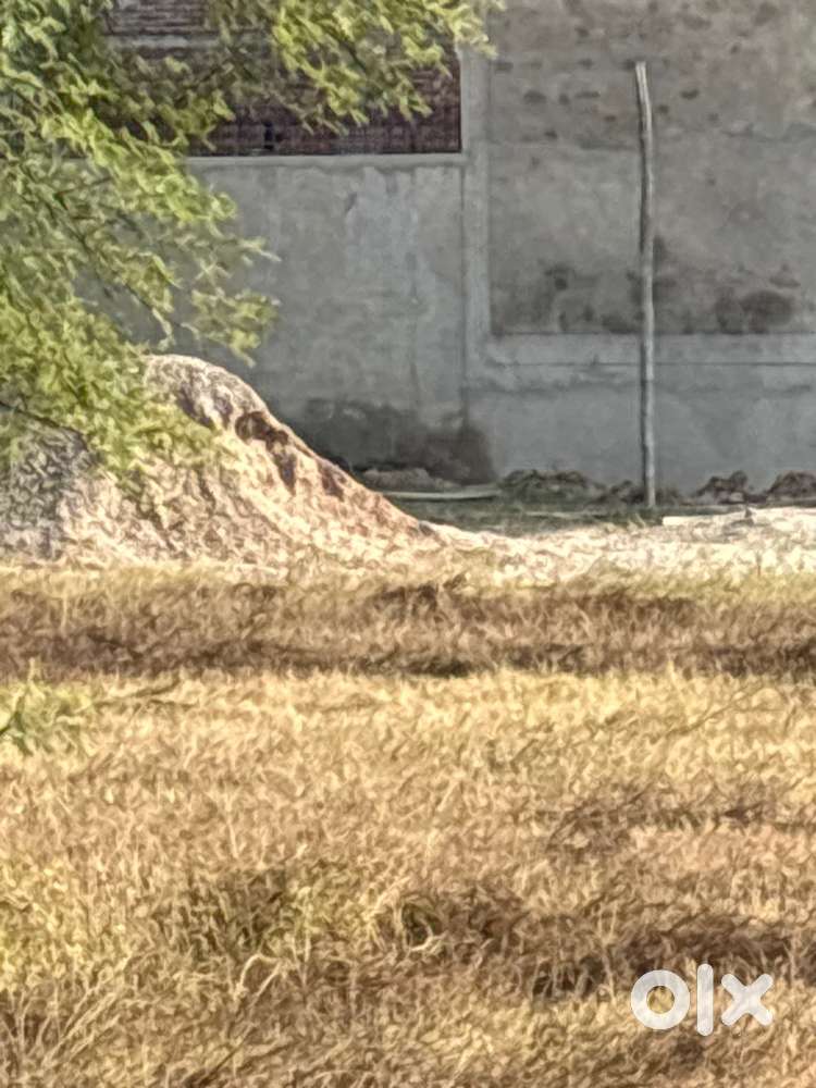 300 Sq yard in EcoCity 1