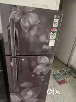 LG Fridge double door