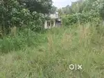 6 cents land for sale