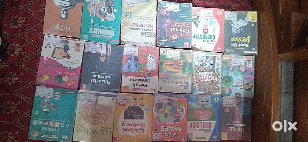 ICSE Class 6 Full Book Set – Like New – Only 1 Set – ₹3000