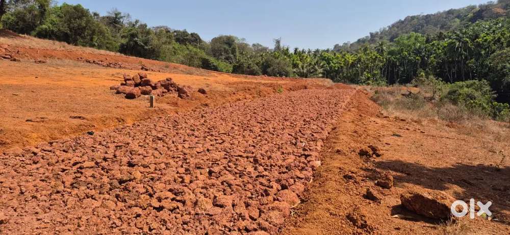 Plots for sale iat Rs 4700 per sqm at Tulsimala Sanquelim North Goa