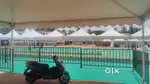 This Flea EVENT field with lots of knowledge and easy going wrok.