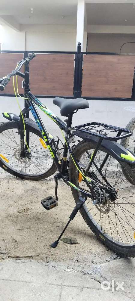 3 months old Hercules REDEEM Cycle