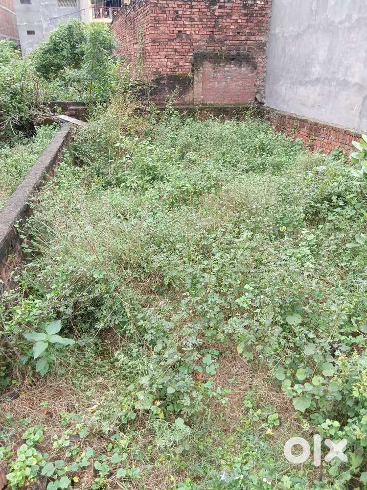 Pratiyapuri colony Lamahi वाराणसी