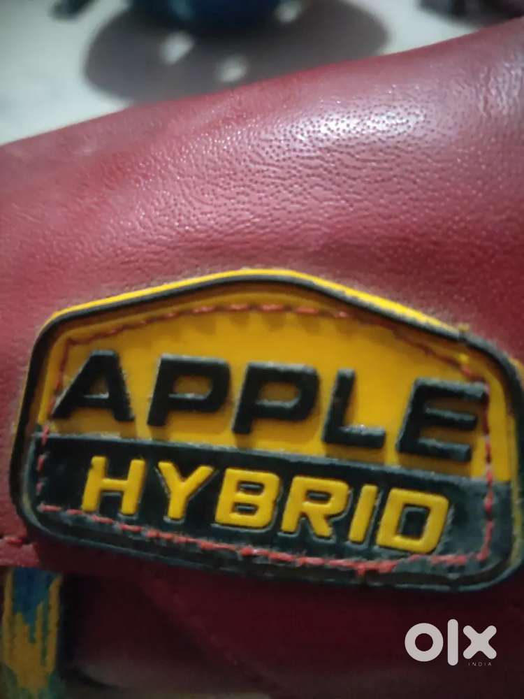 Apple hybrid Quad skates - A1 condition (kids)