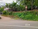 Plot for sale