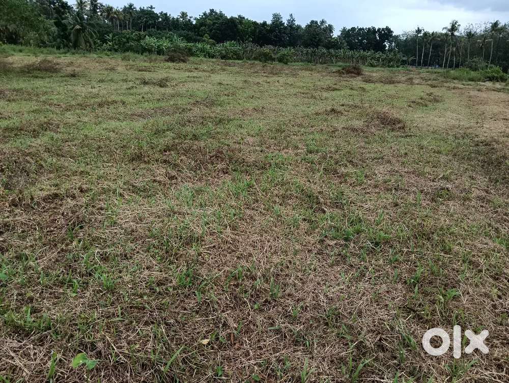 ഇരിങ്ങാലക്കുട കടുപ്പാശ്ശേരിൽ 7 സെന്റ് സ്ഥലം വില്പനക്ക്