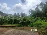 22 cent house plot for sale