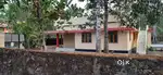 Independent 3 bhk house near Angamaly Town