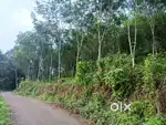 രണ്ട് ഏക്കർ റബ്ബർ തോട്ടം വില്പനയ്ക്ക്