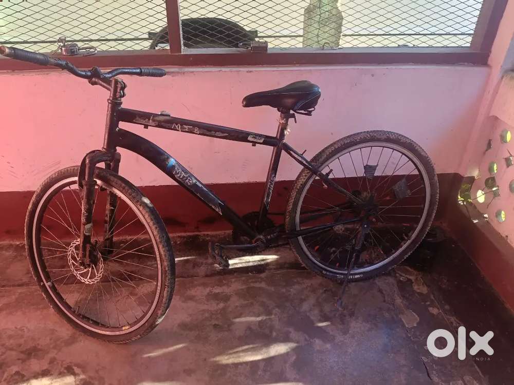 Bicycle Gang