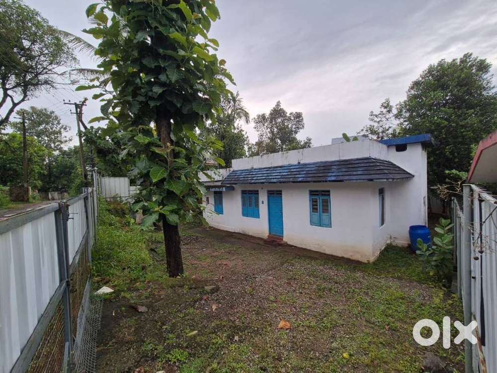 8 Cent Land with Old House – Near Ration Kada Bus Stop, Panayikulam