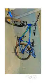 8 months old cycle Arjunt sale