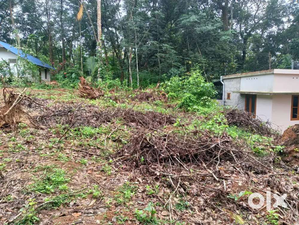 Land For Sale 23 Cent