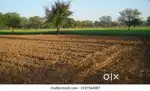 Low Budget Farmland For Sale in Pothanur
