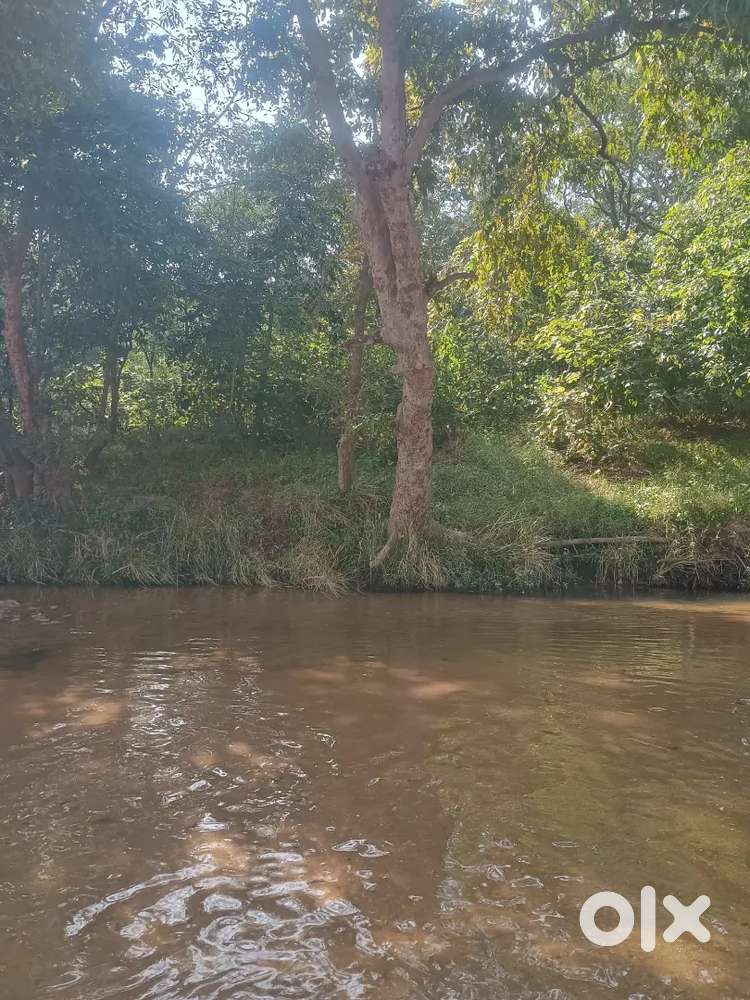 मुझे साइंस कॉलेज के आसपास कमरा किराए पर चाहिए, मेरे लिए