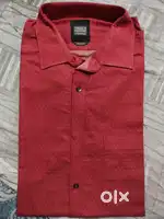 Turtle Men's Shirt