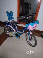 Kids fairy bicycle (girl kid)